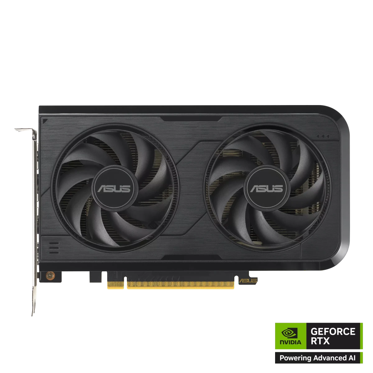 ASUS GeForce RTX 5050 8GB Dual OC Edition Graphics Card -  - Vektra Computers LLC