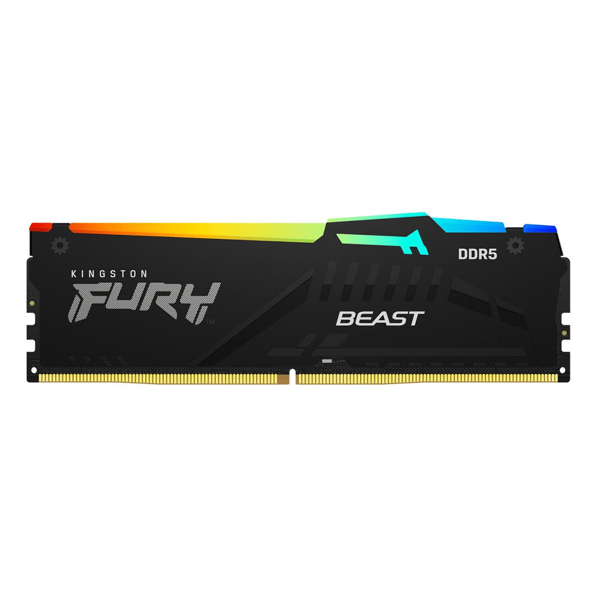 Kingston Fury Beast RGB DDR5 Desktop RAM -  - Vektra Computers LLC