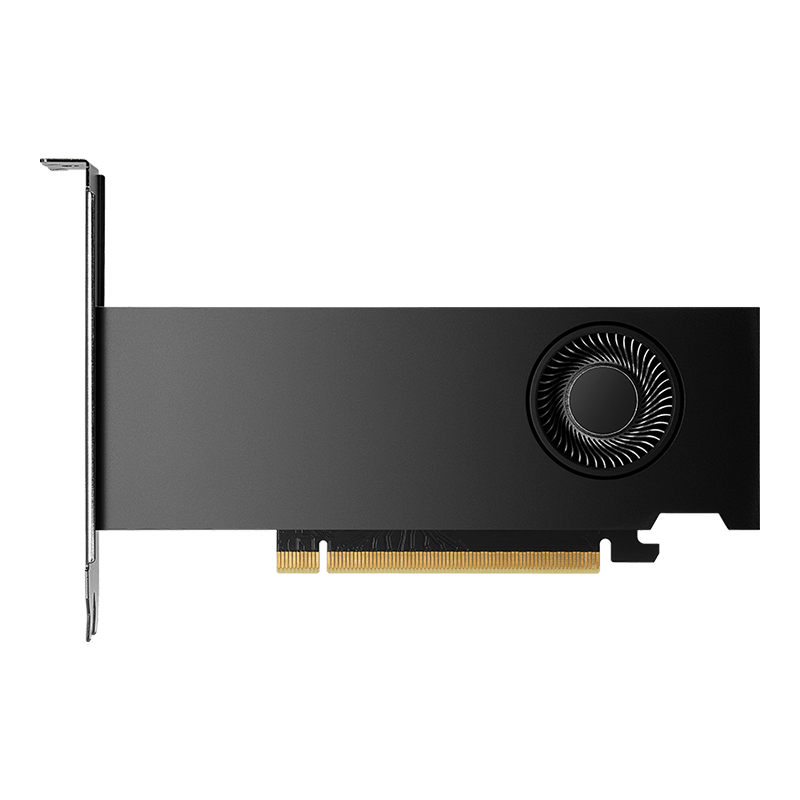 NVIDIA RTX 2000 Ada Generation 16GB Workstation Graphics Card -  - Vektra Computers LLC