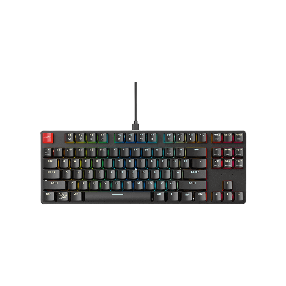 Glorious GMMK Tenkeyless Black (Pre-Built) RGB Mechanical Gaming Keyboard