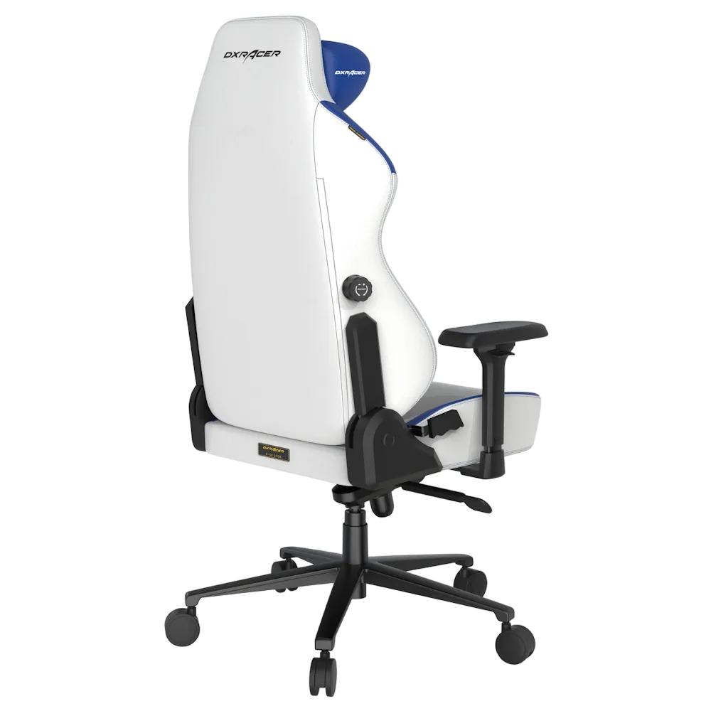 DXRacer Craft Pro Classic Series Gaming Chair - Vektra Computers LLC
