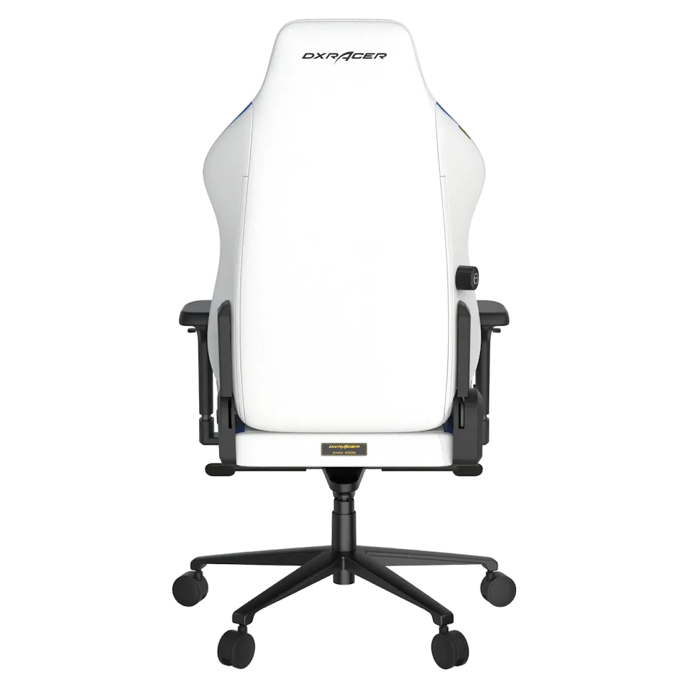 DXRacer Craft Pro Classic Series Gaming Chair - Vektra Computers LLC